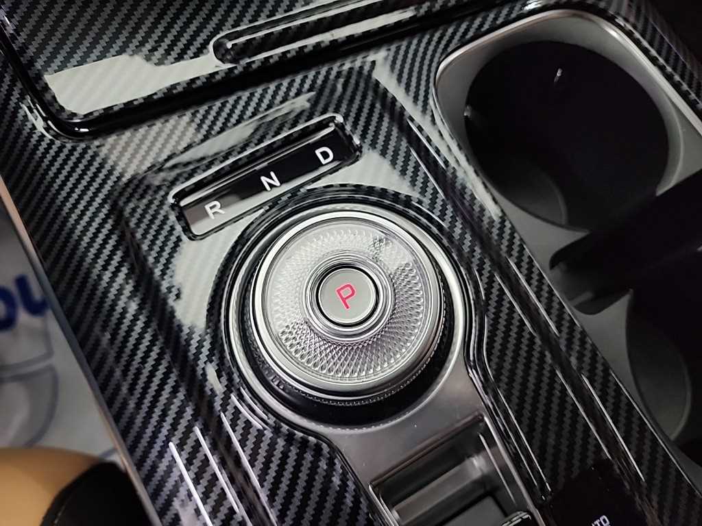 KIA Carnival - Vista 8