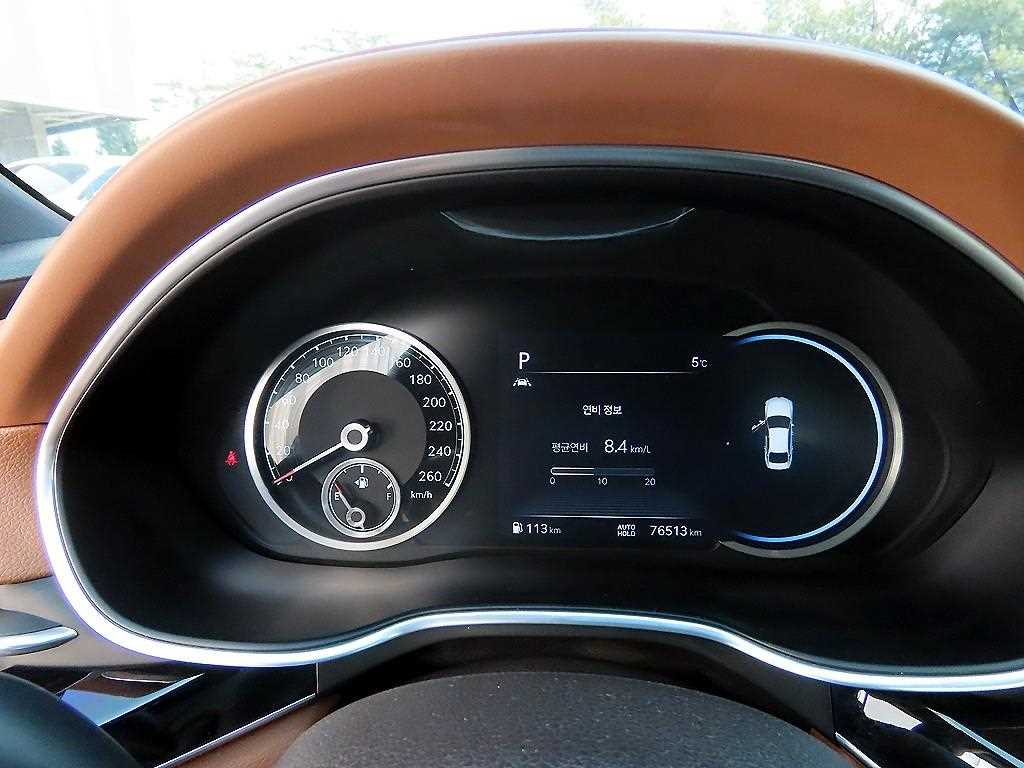 Genesis G80 - Vista 9