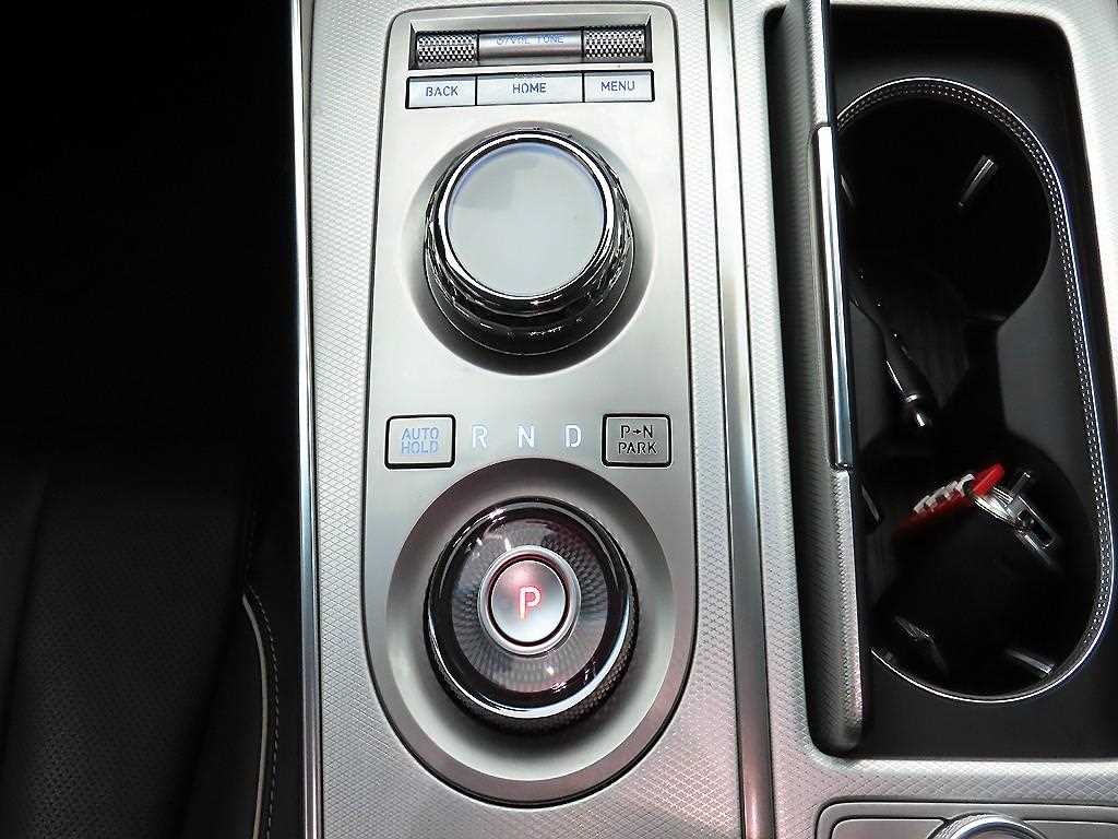 Genesis GV80 - Vista 10