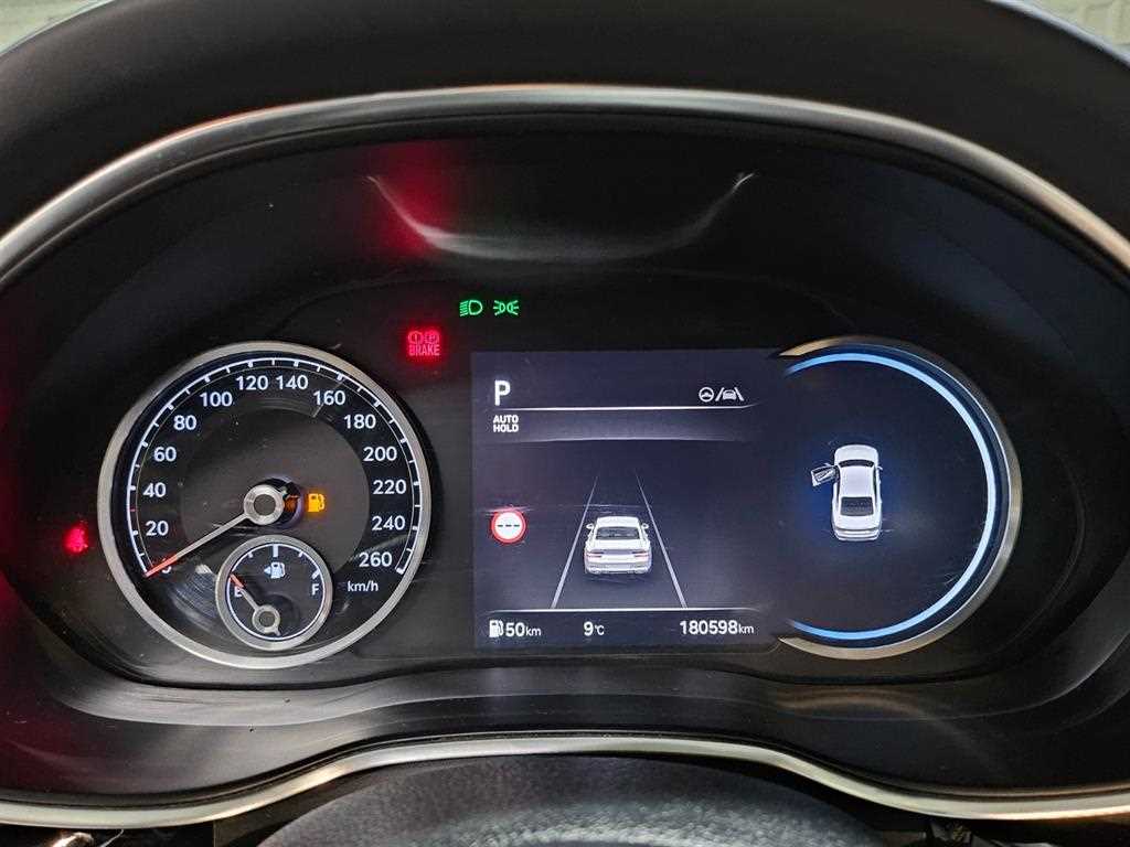 Genesis G80 - Vista 9