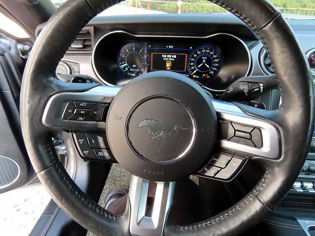 Ford Mustang - Vista 12