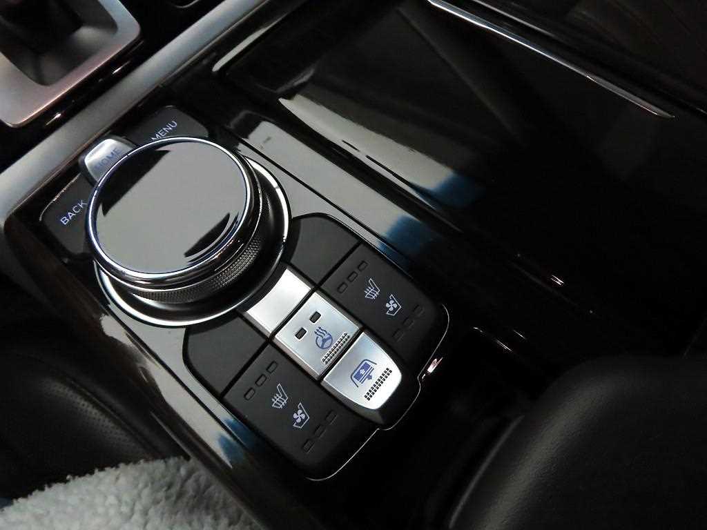 Genesis EQ900 - Vista 12