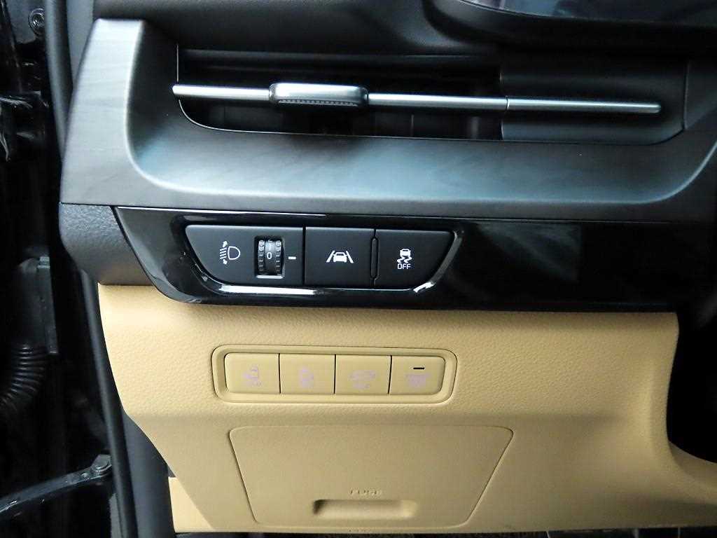 KIA Carnival - Vista 11