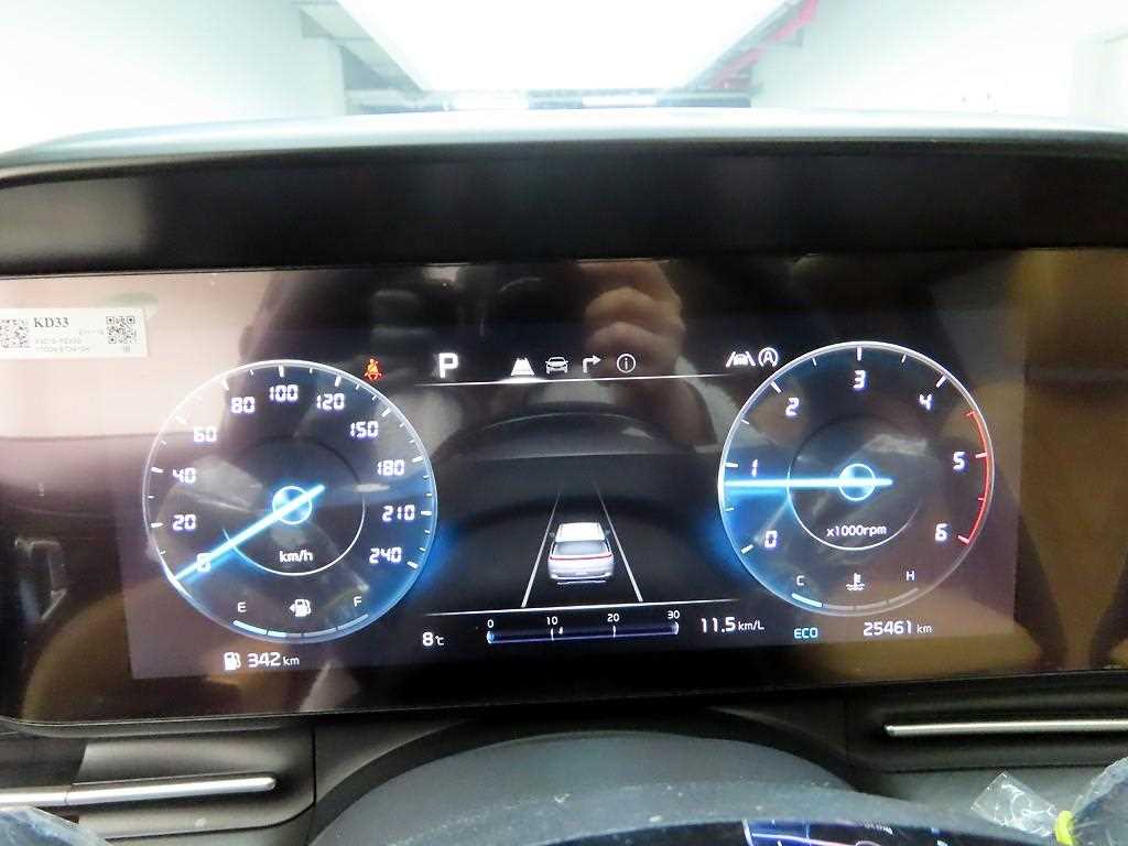 KIA Carnival - Vista 5