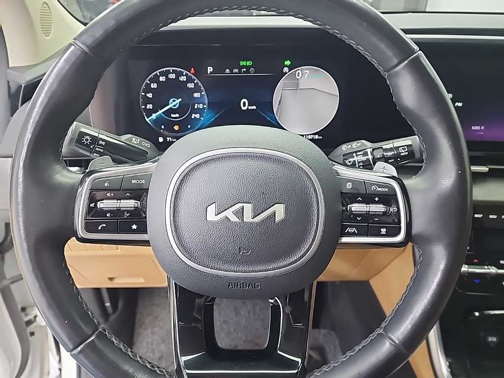KIA Carnival - Vista 9
