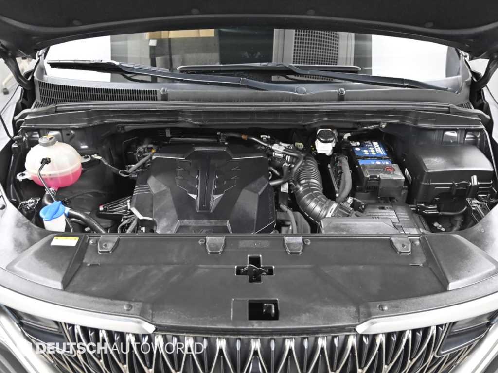 KIA Carnival - Vista 6