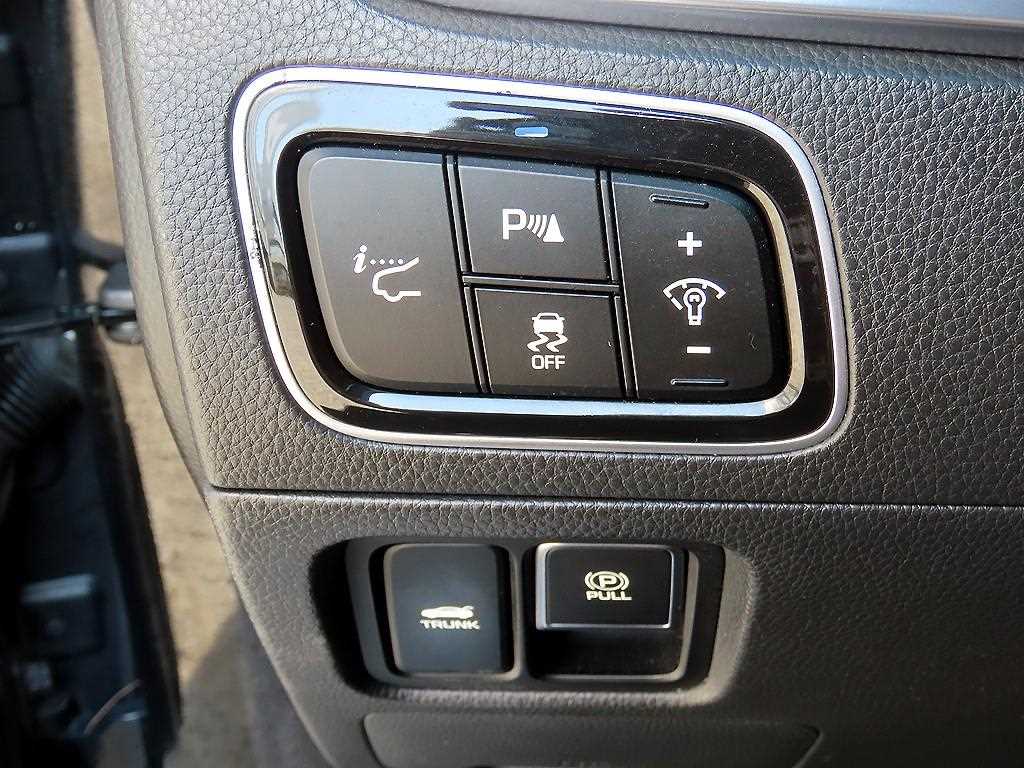 HYUNDAI Equus - Vista 12