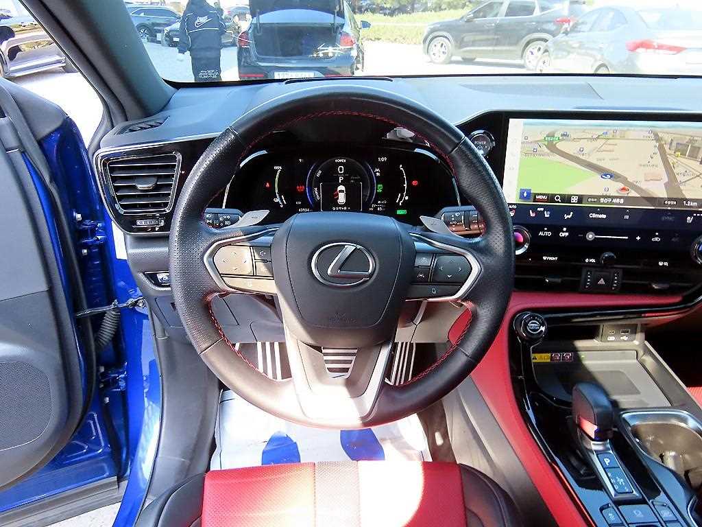 Lexus NX - Vista 8