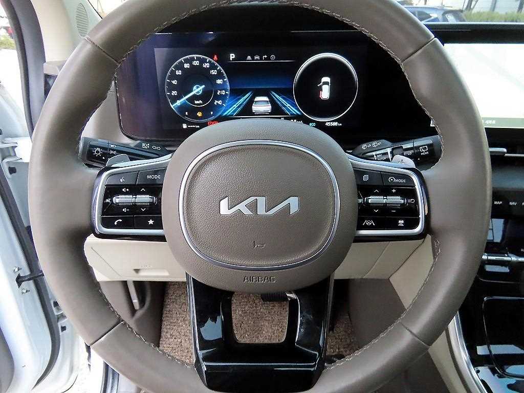 KIA Carnival - Vista 6