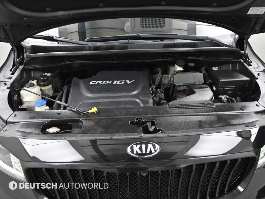 KIA Carnival - Vista 6