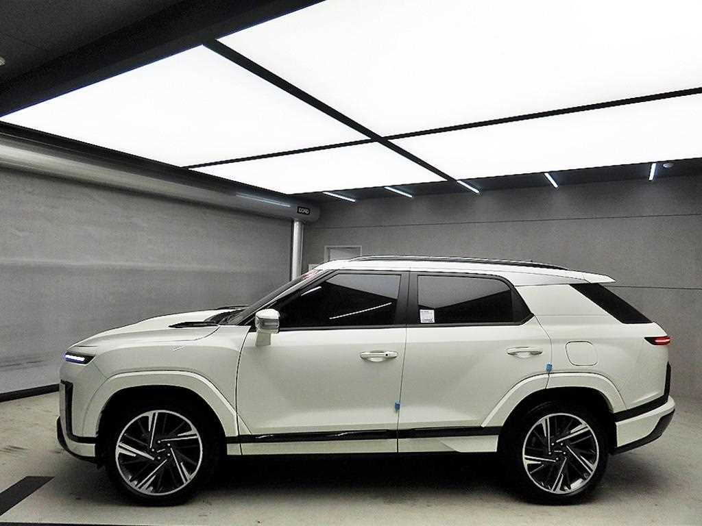 Ssangyong Action - Vista 4