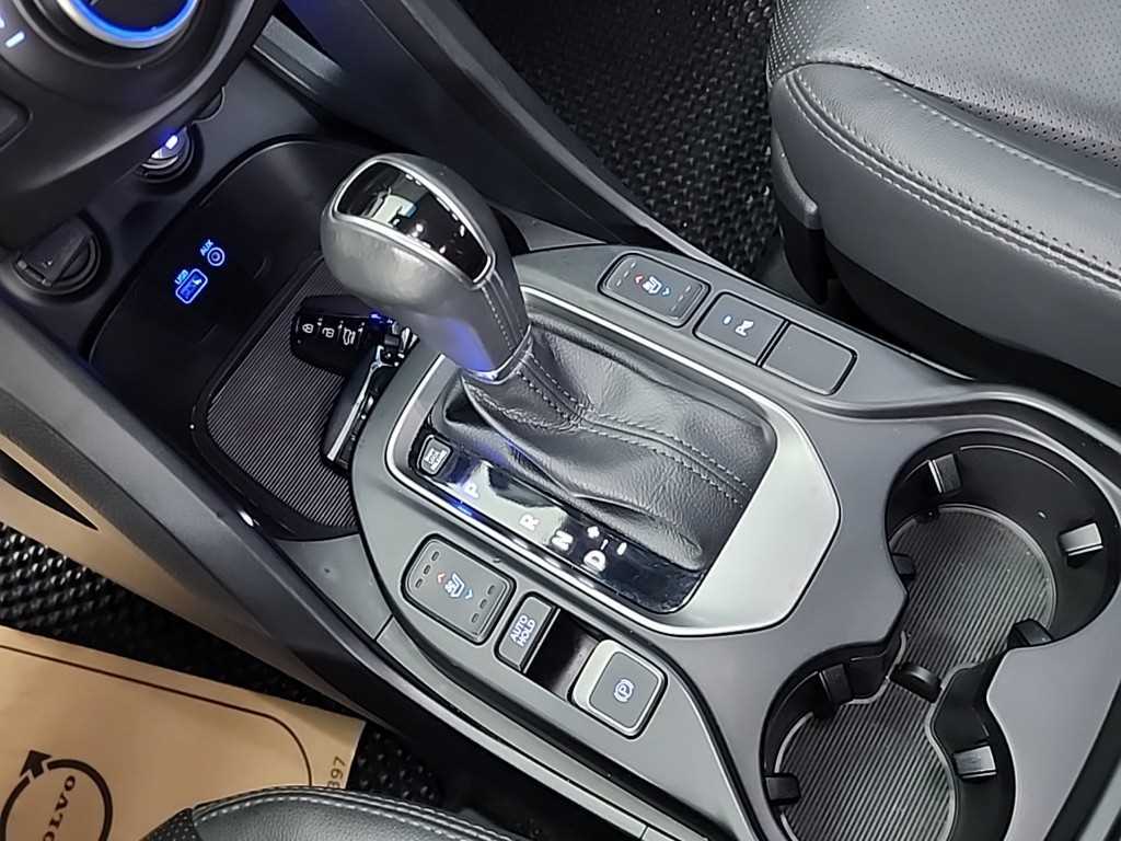 HYUNDAI Maxcruz - Vista 8