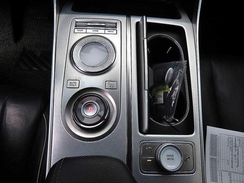 Genesis GV80 - Vista 10