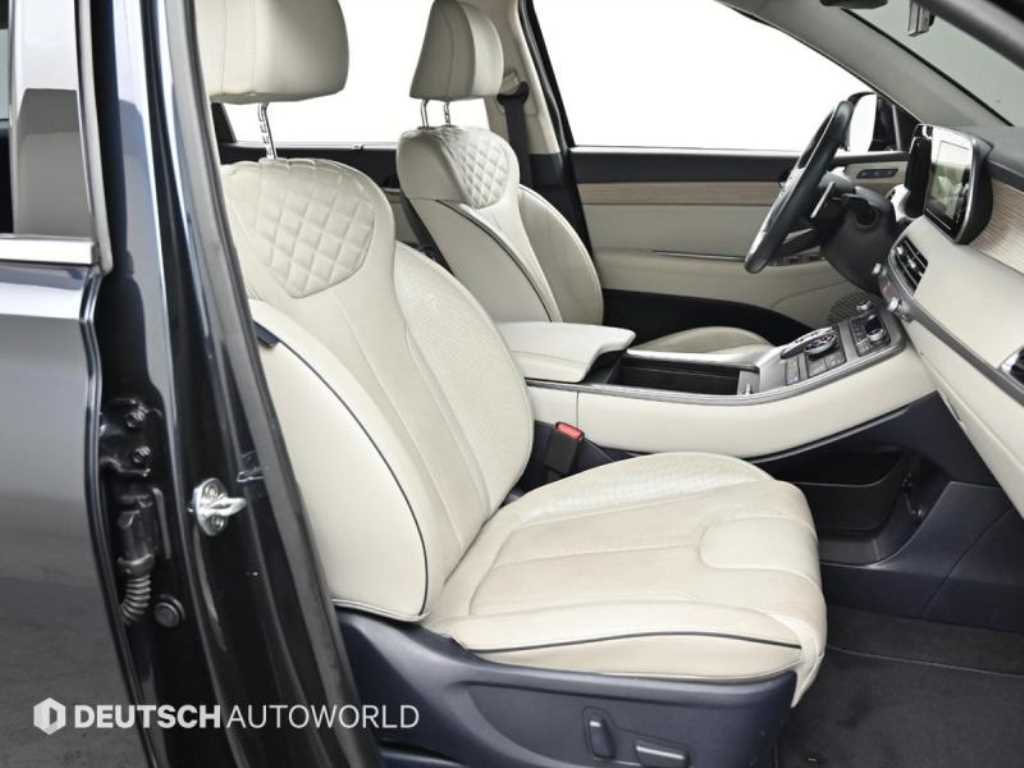 HYUNDAI Palisade - Vista 10