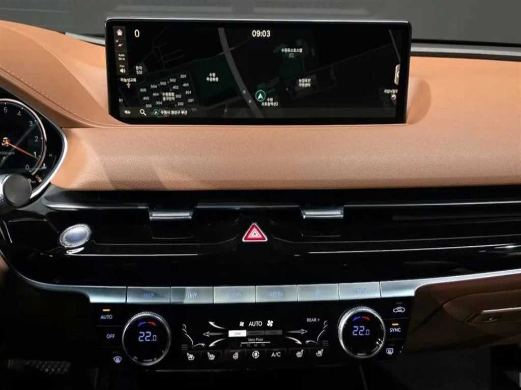 Genesis G80 - Vista 12