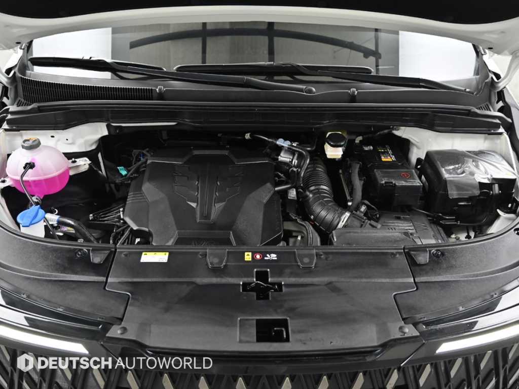 KIA Carnival - Vista 6