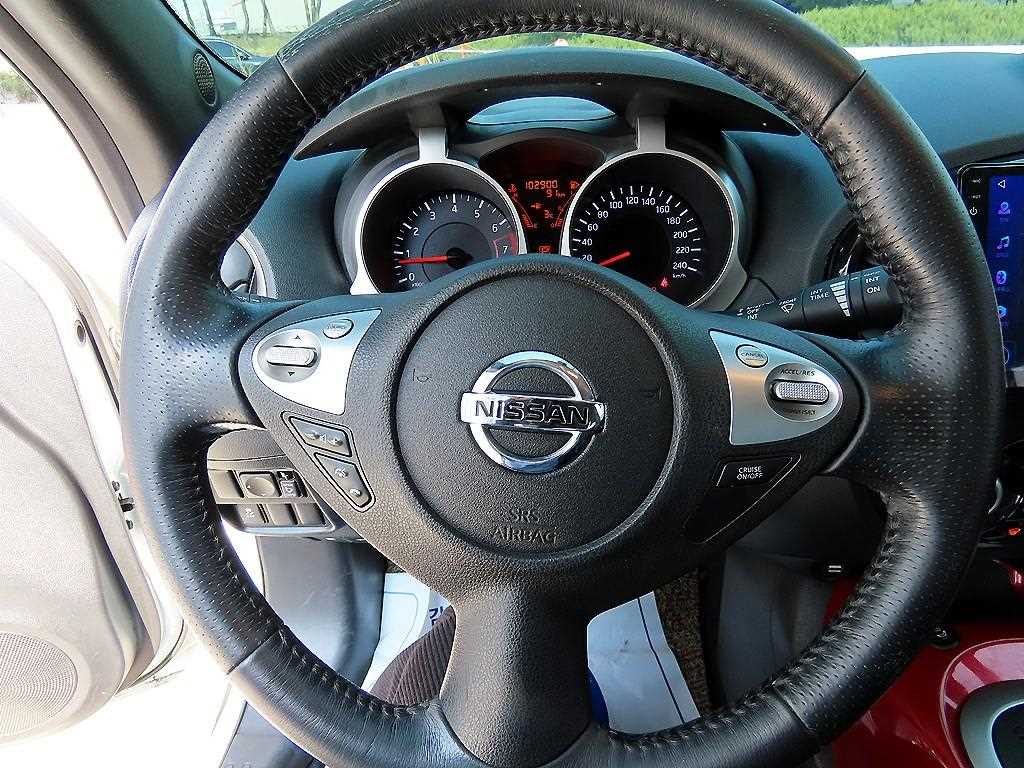 Nissan Juke - Vista 8