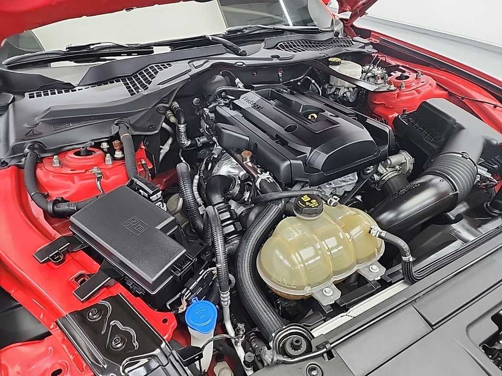 Ford Mustang - Vista 5