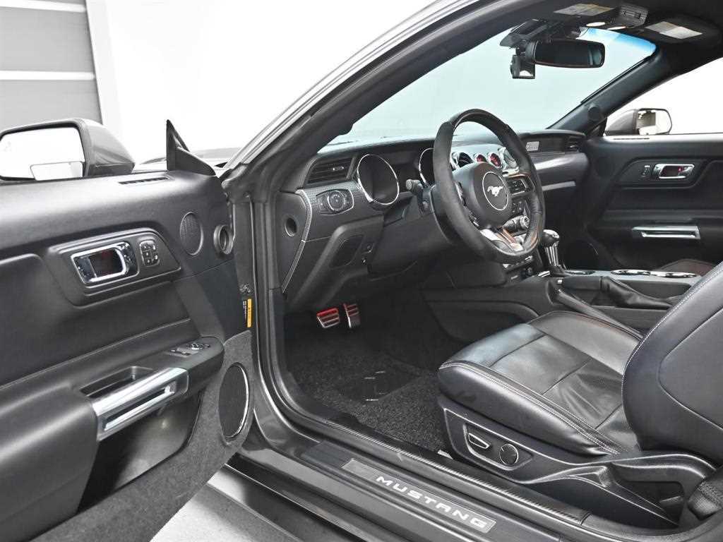 Ford Mustang - Vista 11