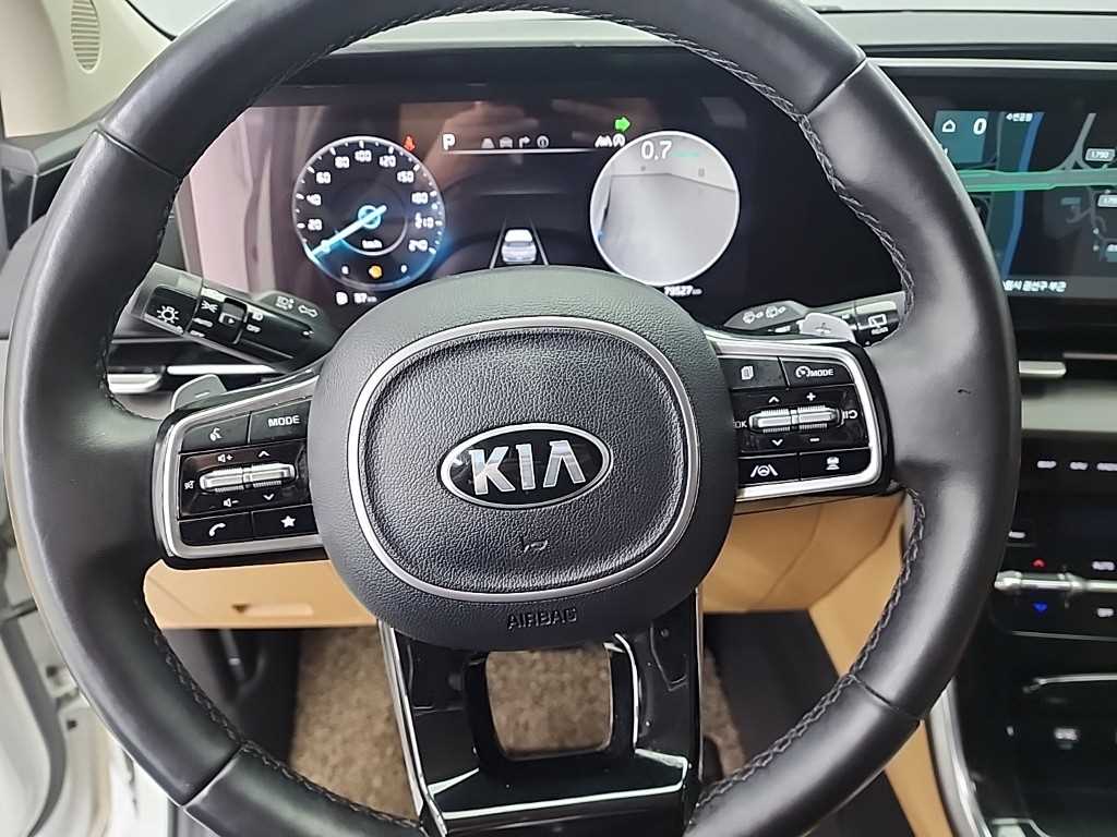 KIA Carnival - Vista 9