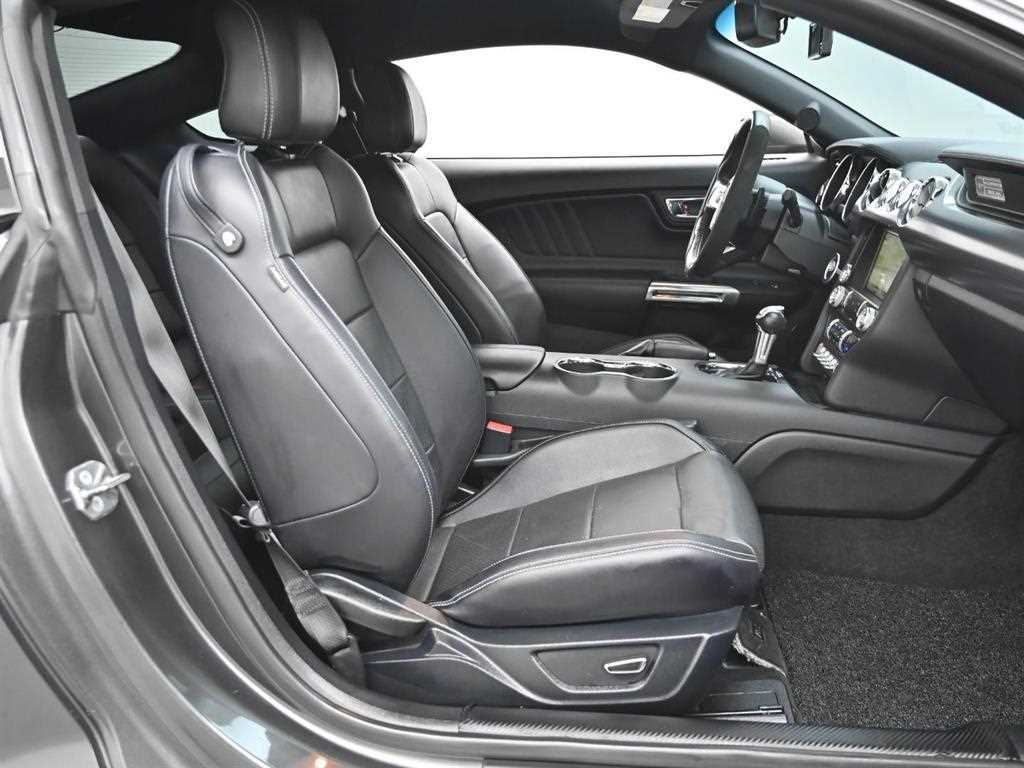 Ford Mustang - Vista 10