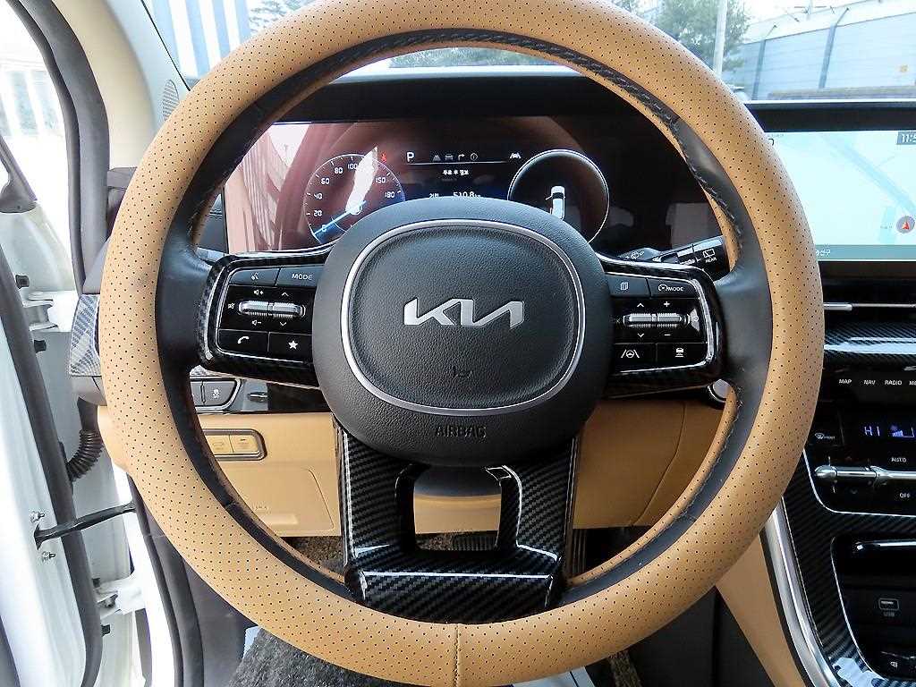 KIA Carnival - Vista 9