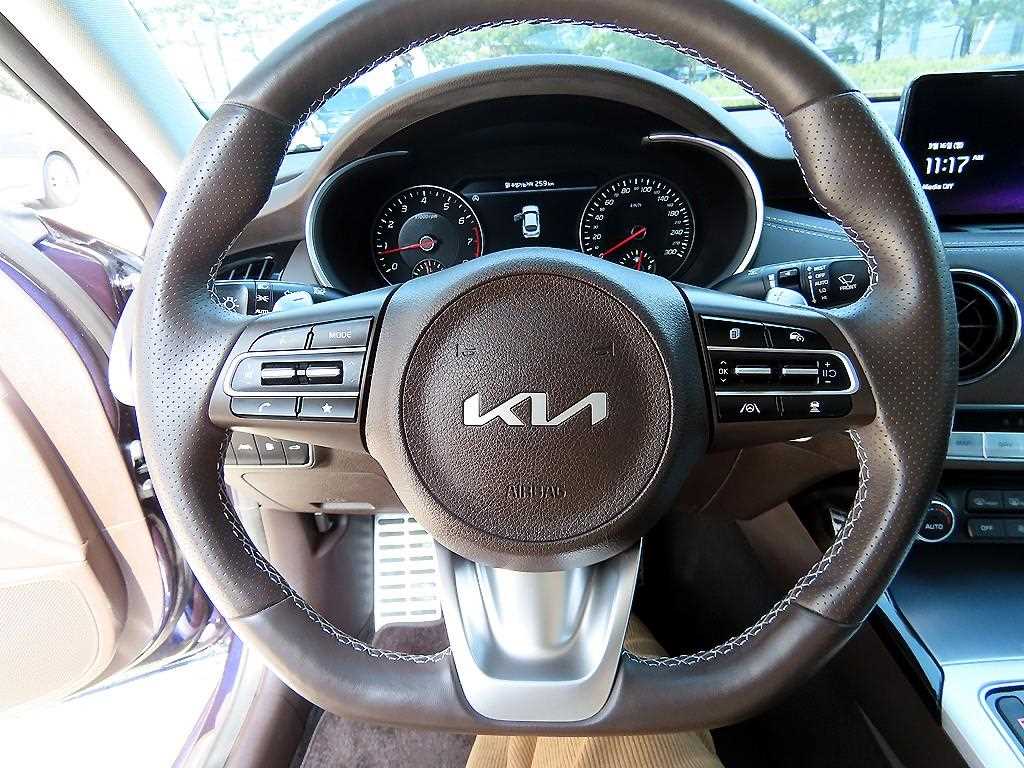 KIA Stinger - Vista 8