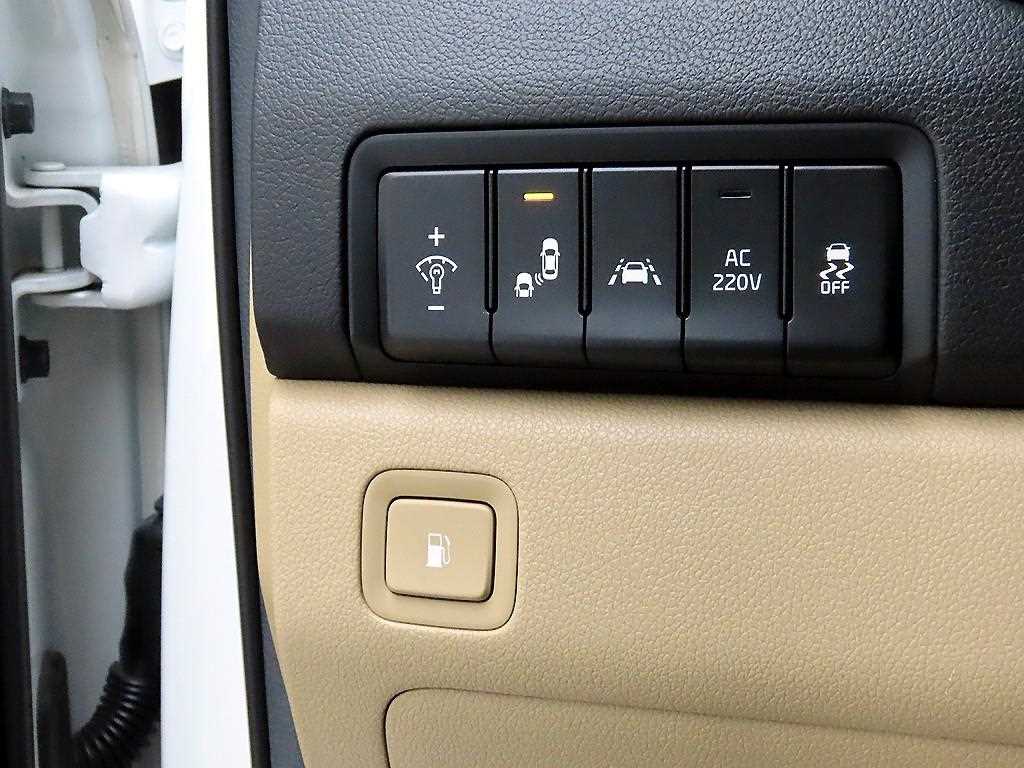 KIA Carnival - Vista 12