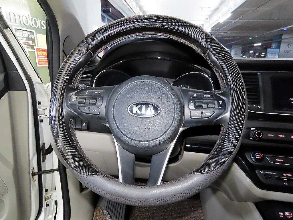 KIA Carnival - Vista 8