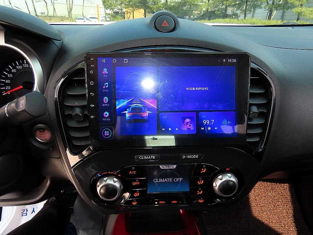 Nissan Juke - Vista 12