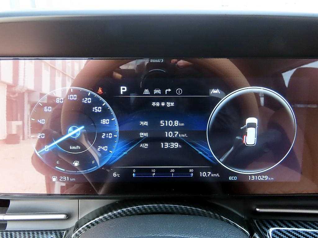 KIA Carnival - Vista 10