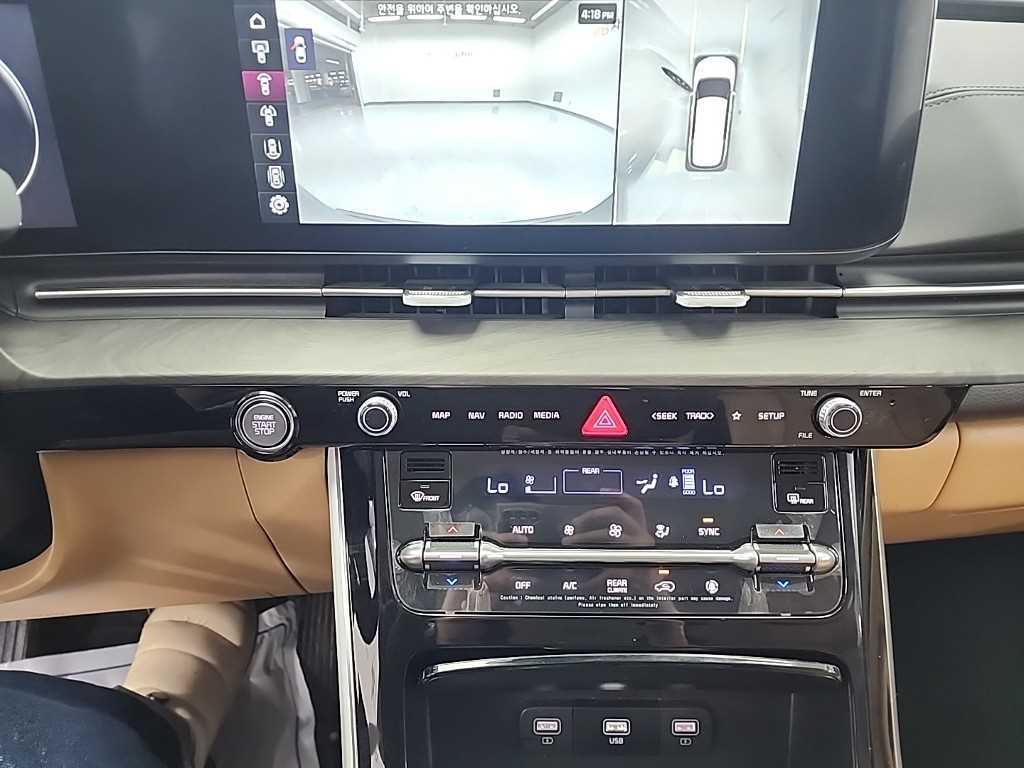 KIA Carnival - Vista 10