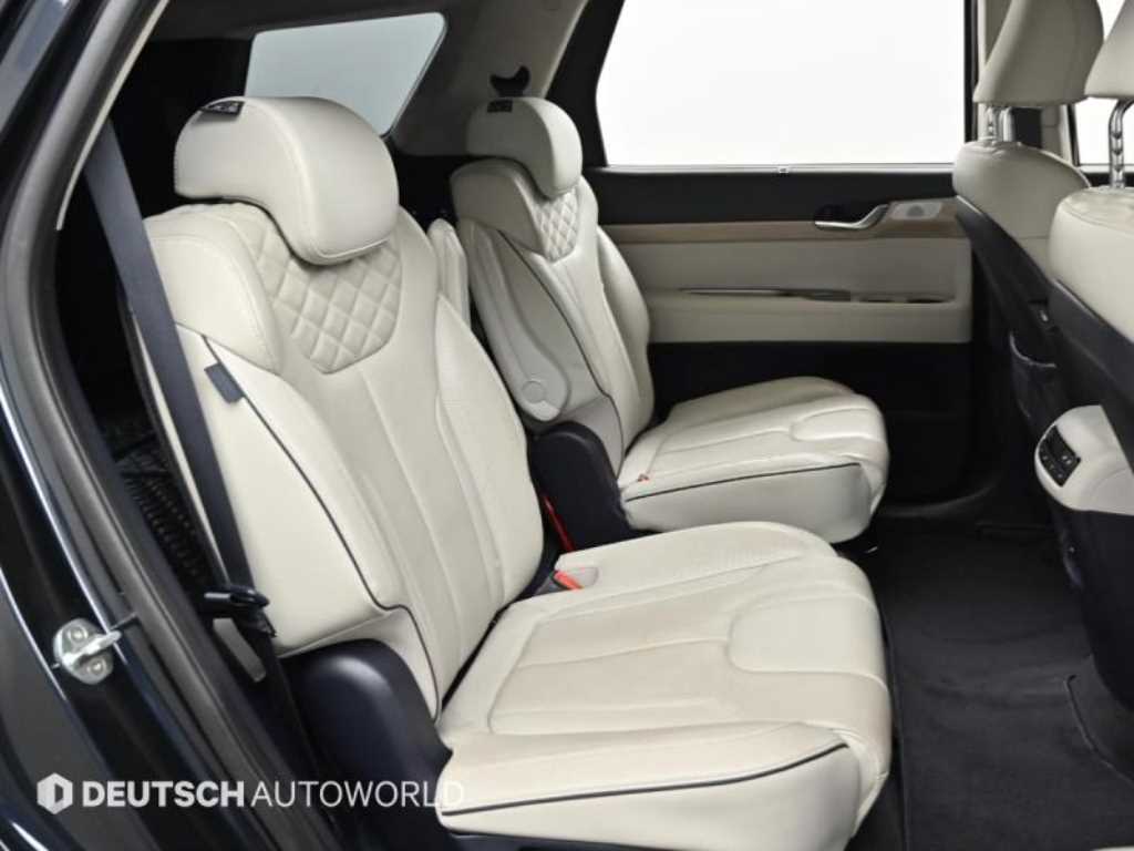 HYUNDAI Palisade - Vista 12