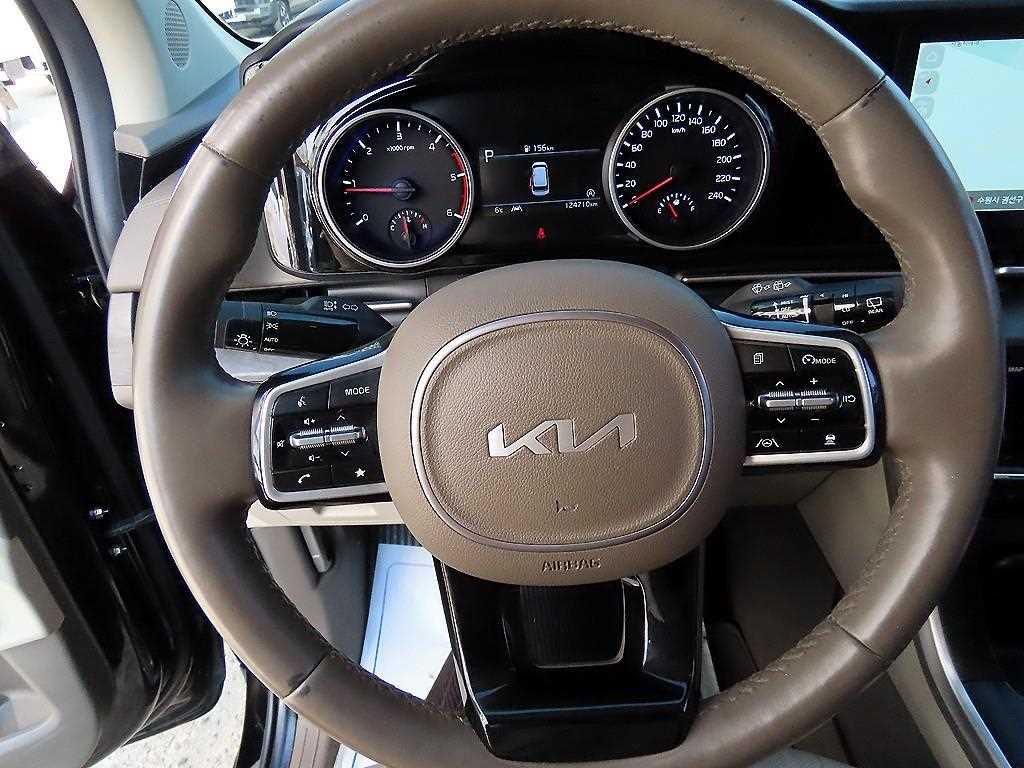 KIA Carnival - Vista 9