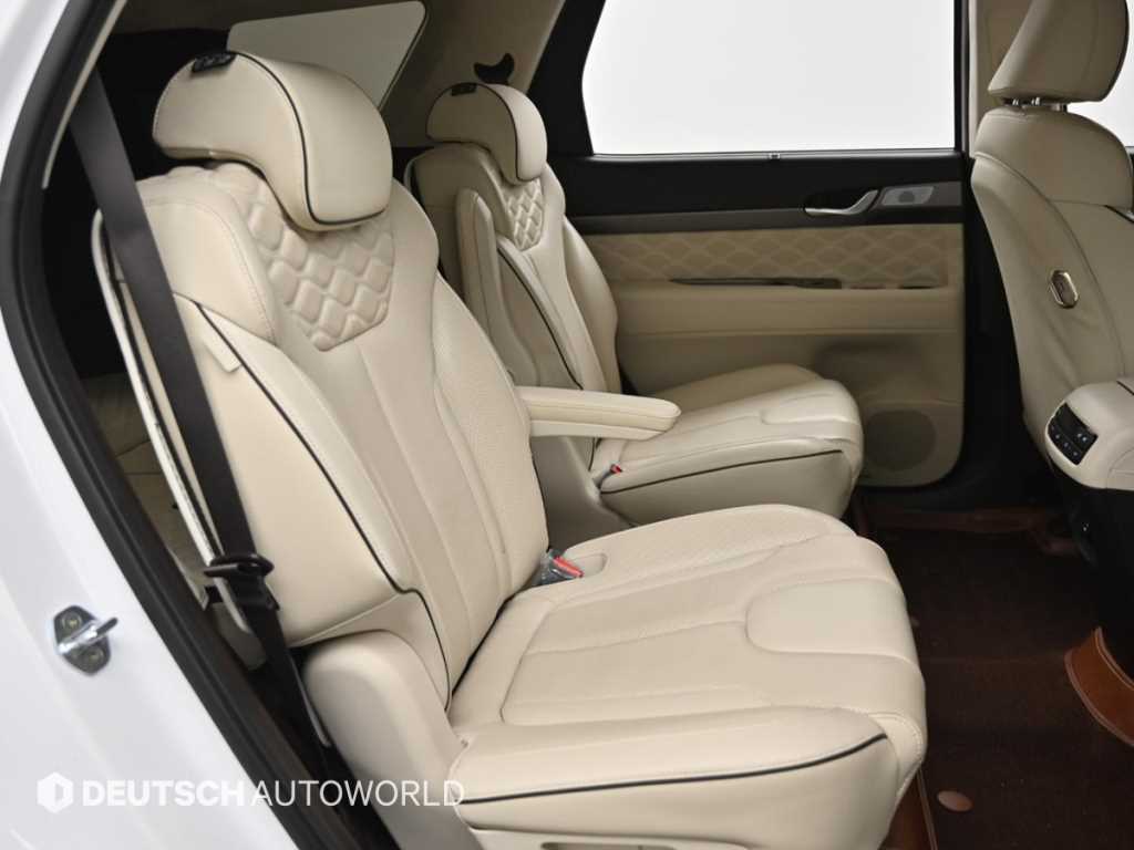 HYUNDAI Palisade - Vista 12