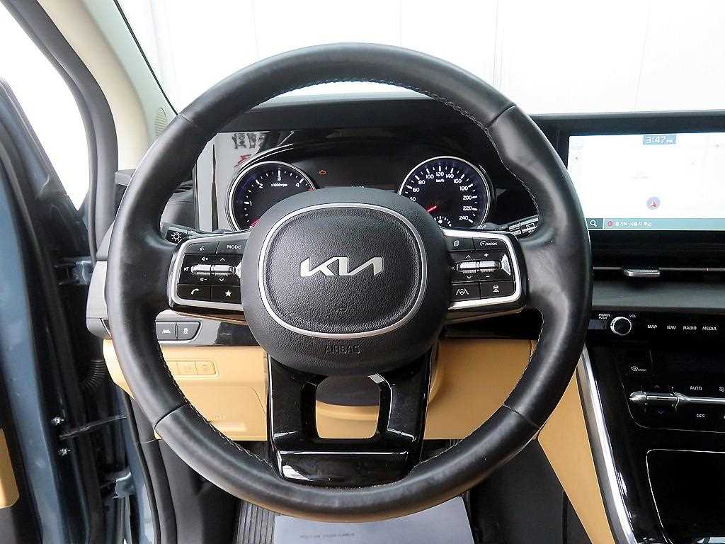 KIA Carnival - Vista 10