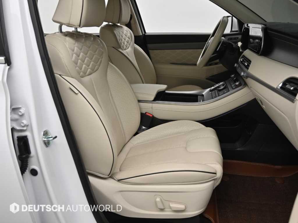 HYUNDAI Palisade - Vista 10