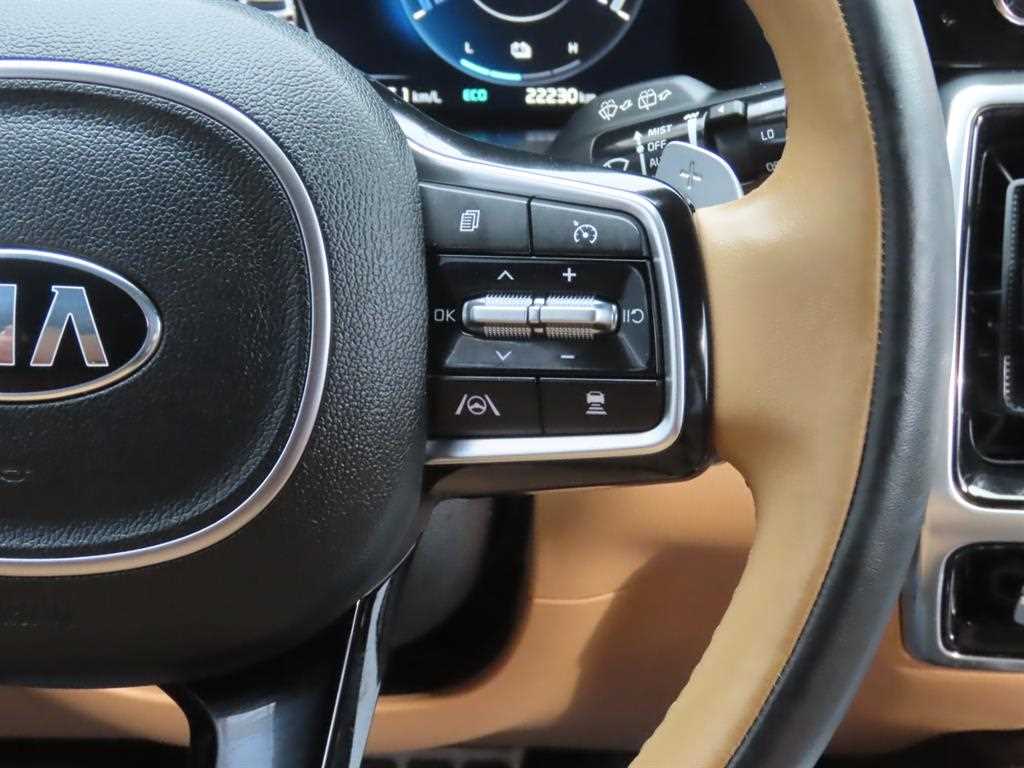 KIA Sorento - Vista 12