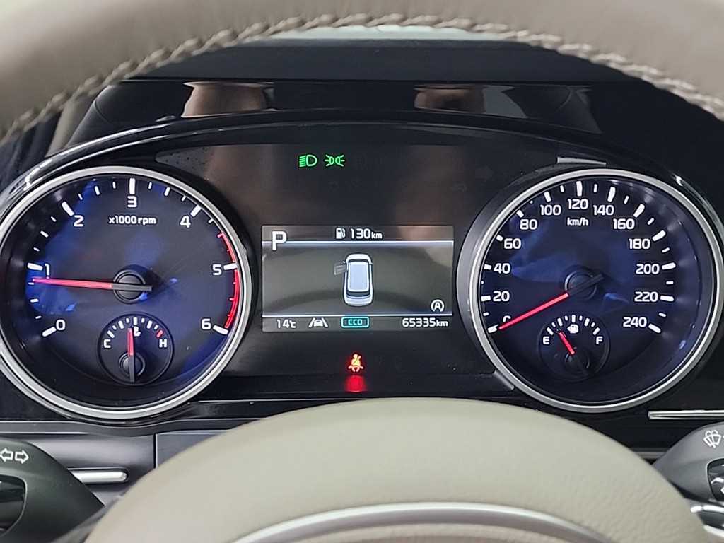 KIA Carnival - Vista 6