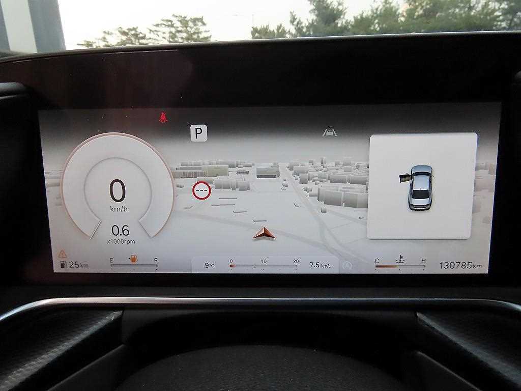 Genesis G90 - Vista 9