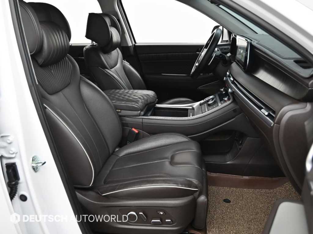 HYUNDAI Palisade - Vista 10