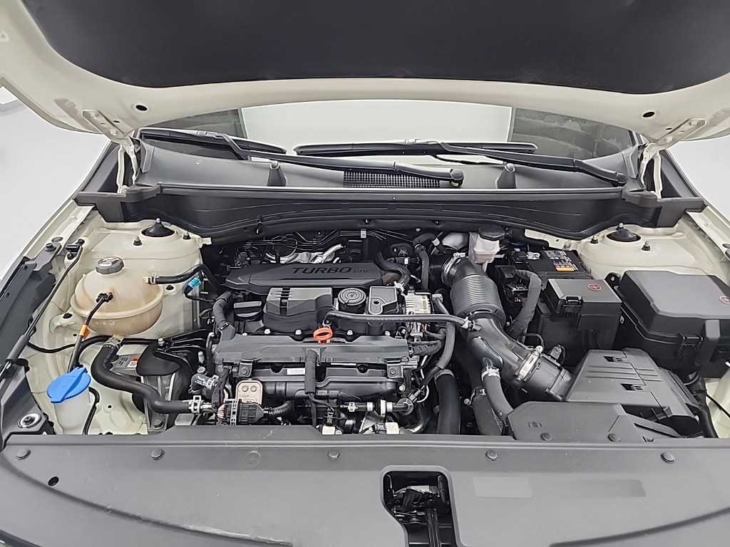 KIA Sportage - Vista 5