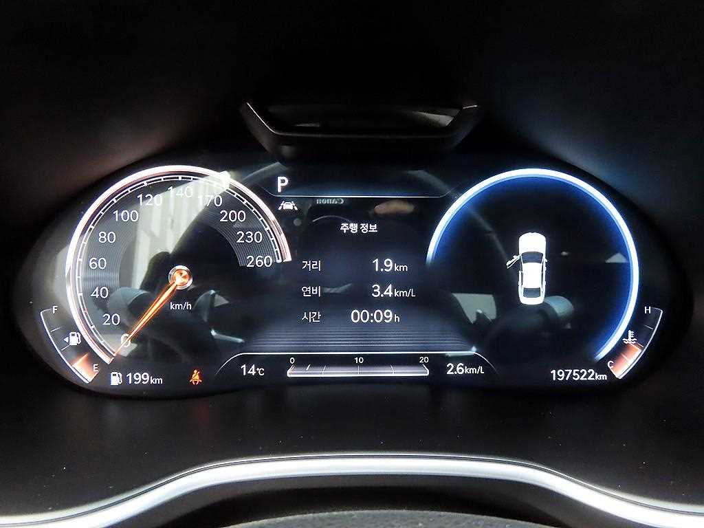 Genesis G80 - Vista 9