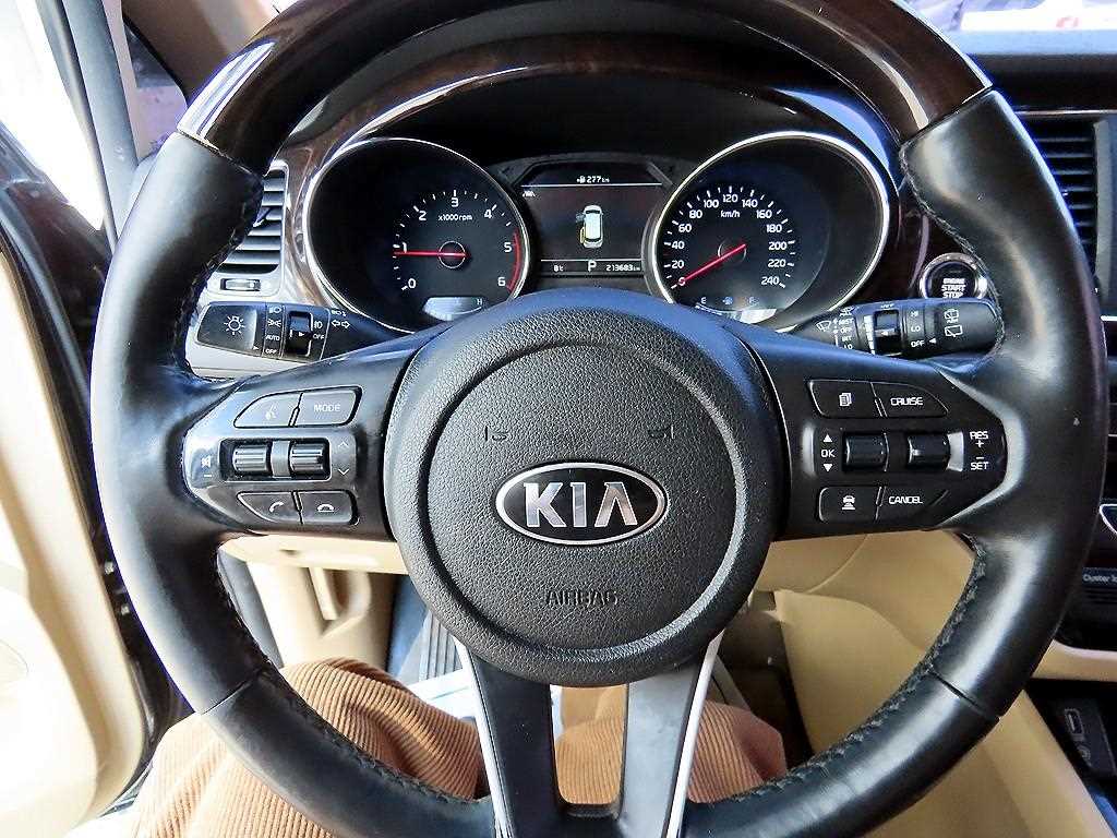 KIA Carnival - Vista 8