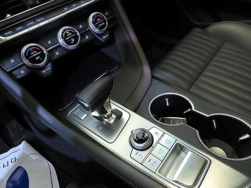 Genesis G70 - Vista 12