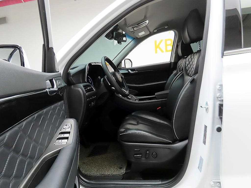 HYUNDAI Palisade - Vista 12