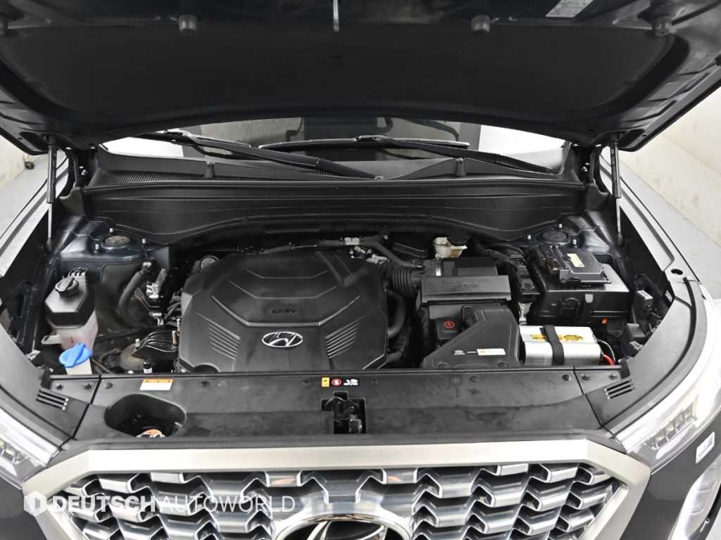 HYUNDAI Palisade - Vista 6