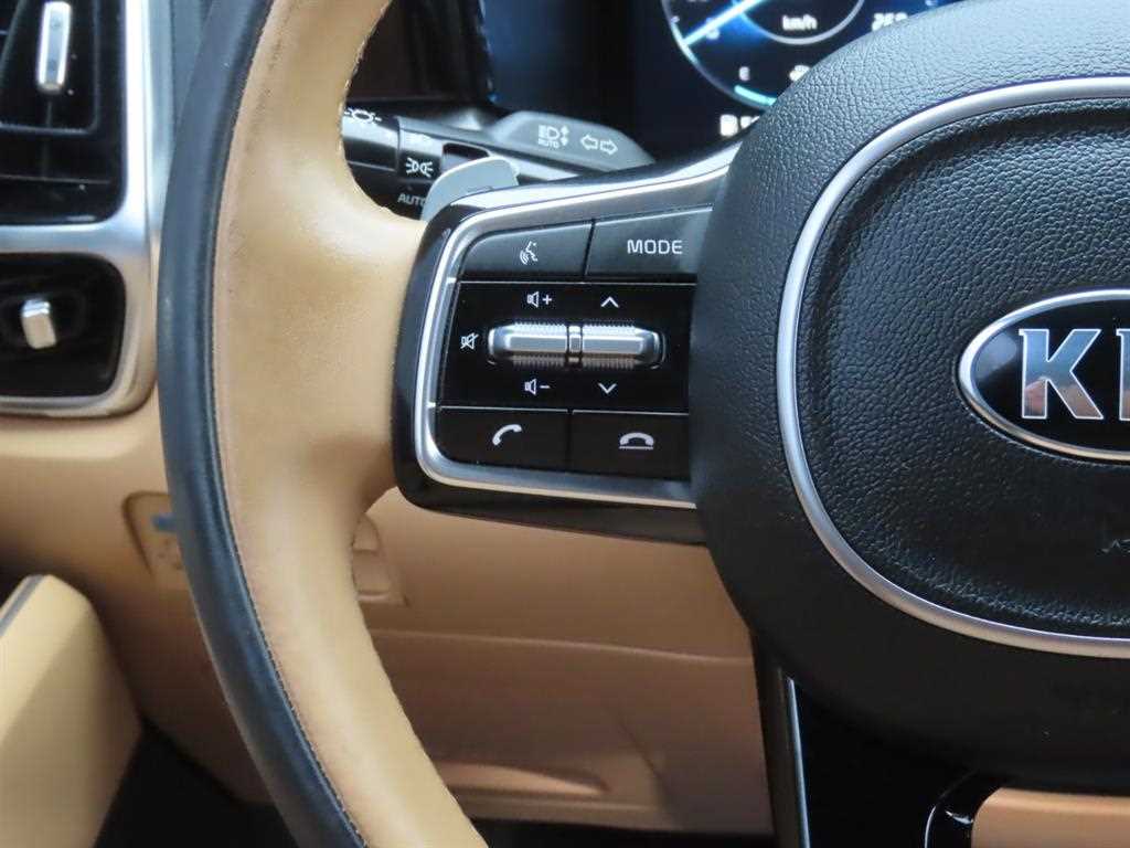 KIA Sorento - Vista 11