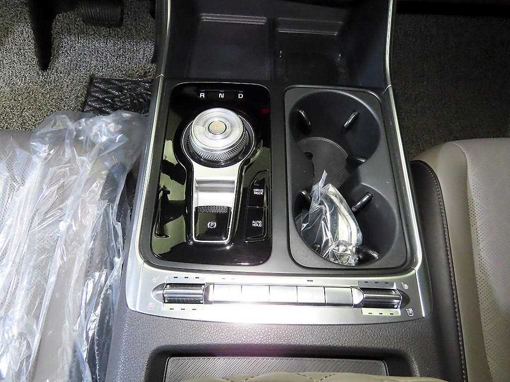 KIA Carnival - Vista 12