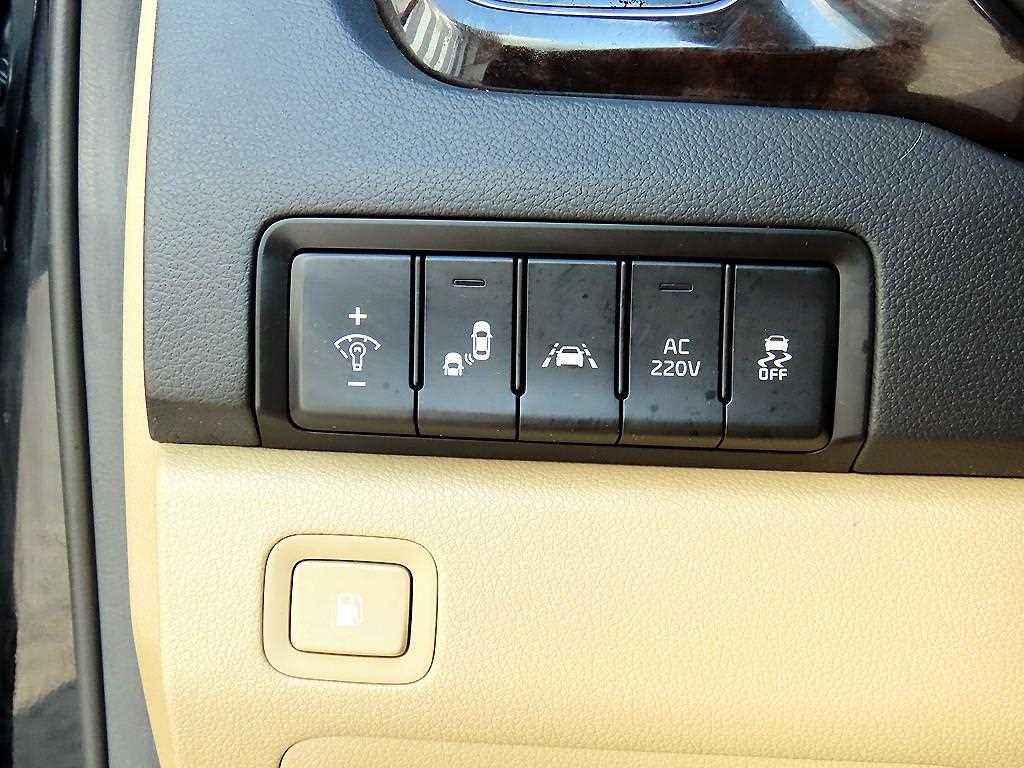 KIA Carnival - Vista 12